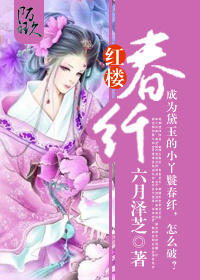小说：红楼春纤，作者：六月泽芝