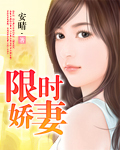 小说：限时娇妻，作者：安晴.