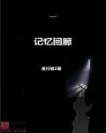 小说：记忆回廊，作者：夜行者Z