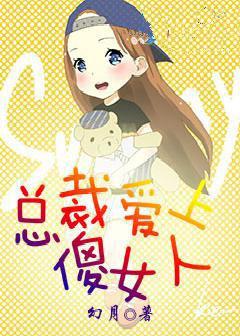 小说：痴情总裁：总裁爱上傻女人，作者：幻月