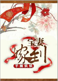 小说：宝妻嫁到，作者：半袖妖妖