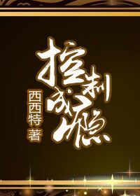 小说：控制成瘾，作者：西西特