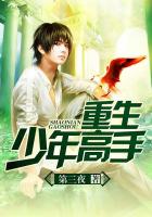 小说：重生少年高手，作者：第三夜
