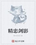 小说：精忠剑影，作者：奋斗的沉沦