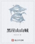 小说：黑崖山山贼，作者：我会功夫