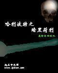 小说：哈利波特之暗黑荷利，作者：塞勒涅的咏叹