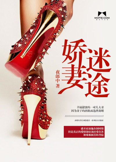 小说：娇妻迷途，作者：夜郎中