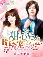 小说：甜心V5：BOSS宠之过急，作者：花二宝