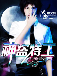小说：神盗特工，作者：胖子翻天