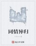 小说：同情异归，作者：三石小小