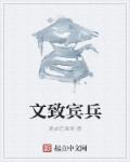 小说：文致宾兵，作者：脆皮芒果君