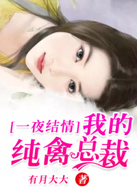 小说：一夜结情：我的纯禽总裁，作者：有月大大