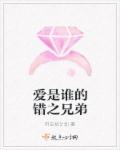 小说：爱是谁的错之兄弟，作者：歼击机计划