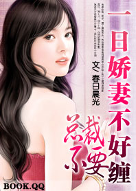 小说：腹黑总裁的千面娇妻：贼新娘，作者：春日晨光