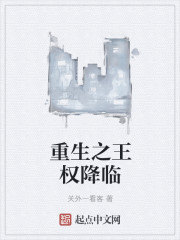 小说：重生之王权降临，作者：关外一看客