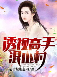 小说：透视高手混山村，作者：尼古拉斯赵四