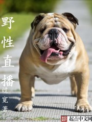 小说：野性为王，作者：过宽
