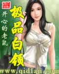 小说：极品白领，作者：开心的老鼠
