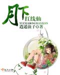 小说：月下红线仙，作者：逍遥浪子