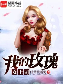 小说：我的玫瑰女上司，作者：经常性断更