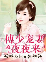 小说：傅少宠妻夜夜来，作者：莫问