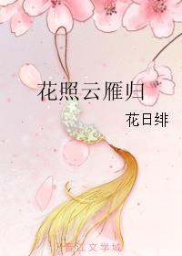 小说：花照云雁归，作者：花日绯