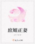 小说：庶姐正妻，作者：金色飞贼