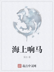 小说：海上响马，作者：溪忘