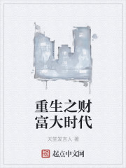 小说：重生之财富大时代，作者：天堂发言人