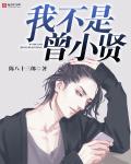 小说：我不是曾小贤，作者：陈八十三郎