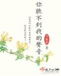 小说：你听不到我的声音，作者：千歳茶