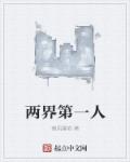 小说：两界第一人，作者：薇风晨晗