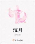 小说：汉月，作者：栽花草