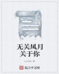 小说：无关风月关于你，作者：sw树娃