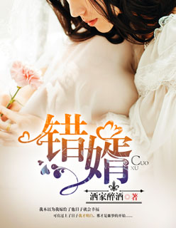 小说：错婿，作者：洒家醉酒
