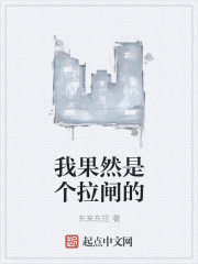 小说：我果然是个拉闸的，作者：东来东往