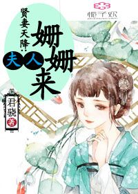 小说：贤妻天降：夫人姗姗来，作者：君骁