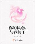 小说：你的执念，与我何干，作者：桐叶飞飞