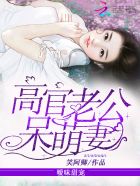 小说：暧昧甜宠：高官老公呆萌妻，作者：笑阿卿