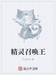 小说：精灵召唤王，作者：东边沼泽