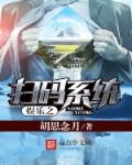 小说：娱乐之扫码系统，作者：胡思年月