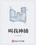 小说：叫我神捕，作者：公子萌面