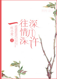 小说：一往情深深几许，作者：红小爱