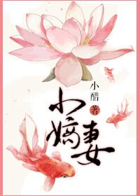 小说：小嫡妻，作者：小醋