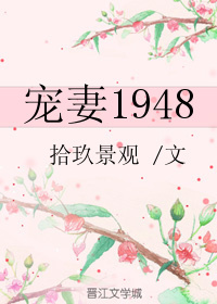 小说：宠妻1948[重生]，作者：拾玖景观