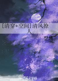 小说：[清穿+空间]清风撩人，作者：瑟嫣