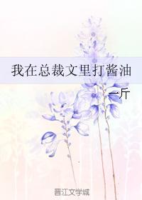 小说：我在总裁文里打酱油，作者：一斤