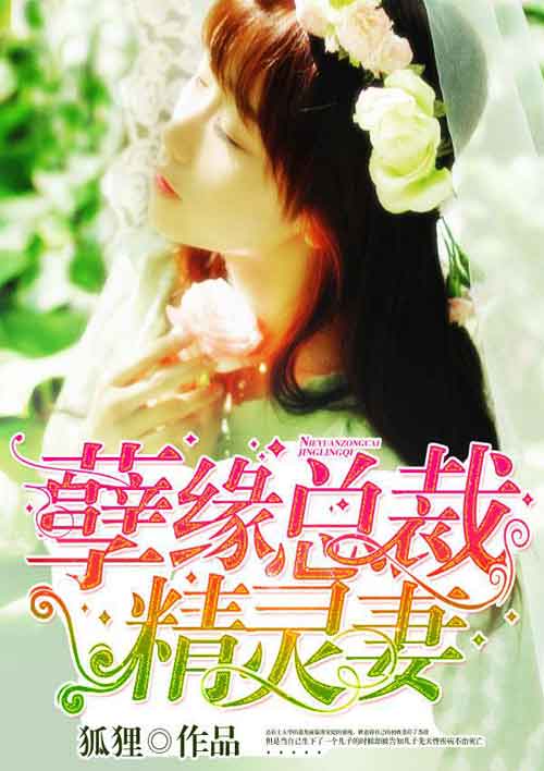 小说：孽缘总裁精灵妻，作者：狐狸