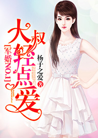 小说：军婚NO.1：大叔，轻点爱，作者：杨子之爱