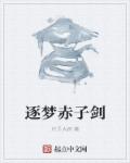 小说：名剑之龙泉，作者：尺子大叔